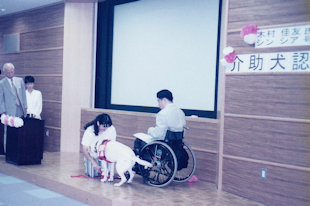 ◆シンシア　介助犬認定30周年・没後20周年企画のイメージ